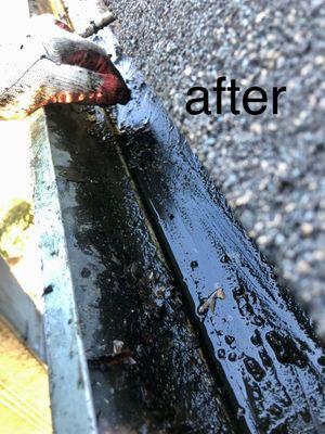 gutter cleaning