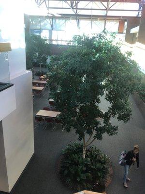 Downstairs meeting and dining area