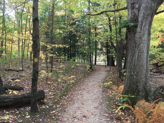 Oak Openings Preserve Metropark