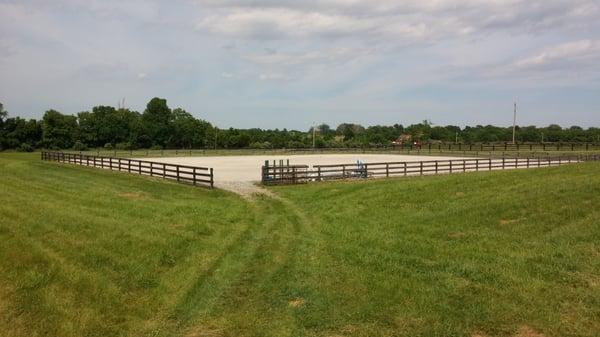 Freshly groomed outdoor arena. 250 x 200