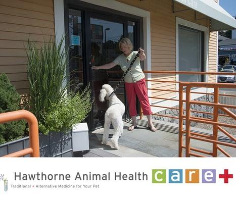 Hawthorne Animal Health Care