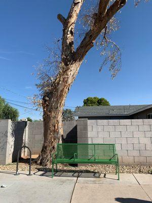 Top Notch Tree Removal & Trimming