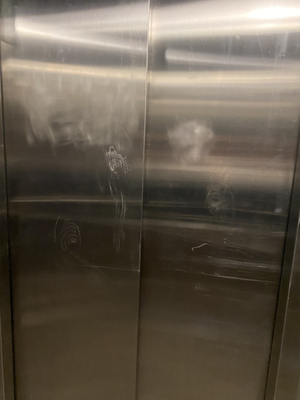 Here is what living at Auden was truly like - elevator