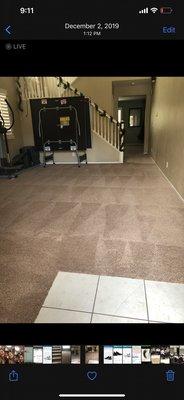 Edgar’s Carpet Cleaning