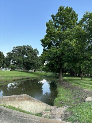 Bayou with wildlife