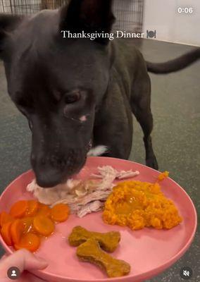 Thanksgiving plate- you have to pay extra but love getting the treats for my dog