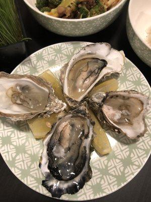 Was happy to find oysters here. I had to throw away 3 because really young. The rest were alright tasting. I still love my Shigoku oysters!