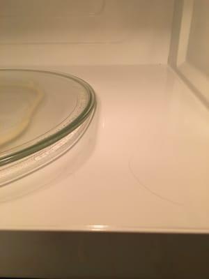 A hair in the microwave found after the cleaning crew left on 12-23-15.