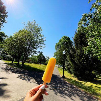 Basking in the sun at Clasky Park, a block away from Sorbae Frozen Treats, this is the Tropical Passion pop. A customer favorite!