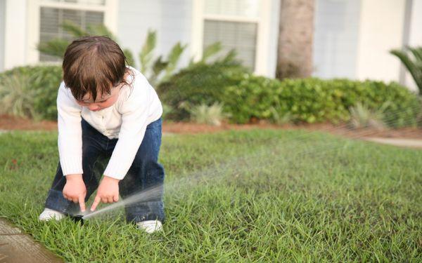 Greenlight Irrigation and Landscape Lighting