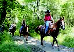 Riding the Trail in Summer