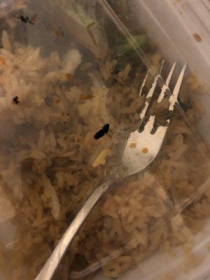 Rat poop in their food.