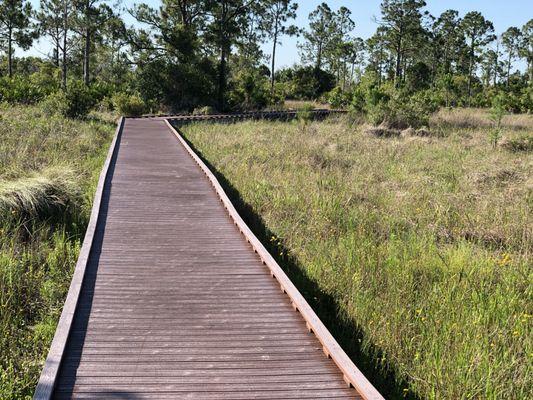 Elevated boardwalk to keep your feet dry during rainy season!