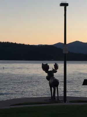 Peaceful lake Couer D Alene