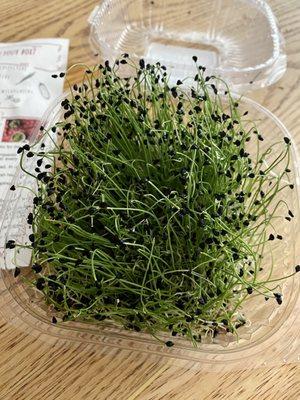 Leek Microgreens from Touchstone Microgreens