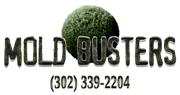 Mold Busters LLC