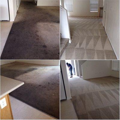 Steam clean carpet cleaning