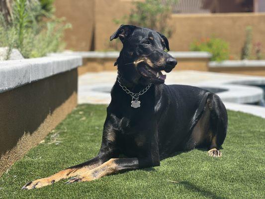 Kane happy and enjoying a moment of stillness.