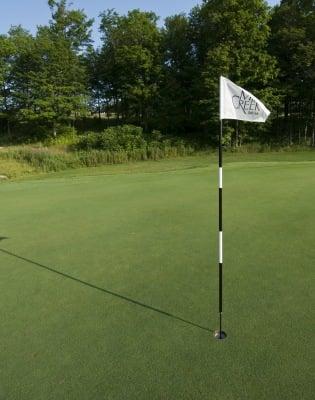 Flag blowing in the always present wind