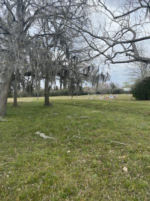 Cemetery