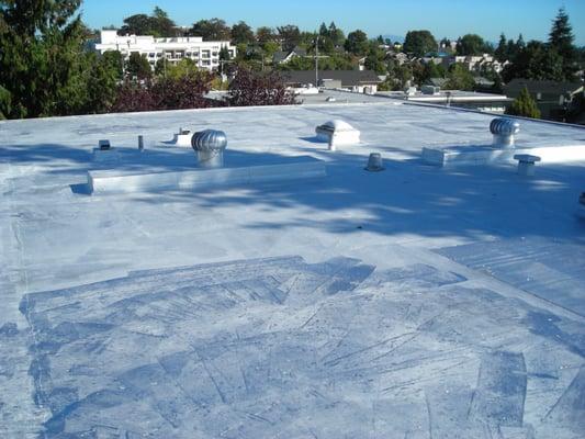 Dales Helping Hands believes in preventive maintenance.  One example is this roof that we re coated saving the owner $$$