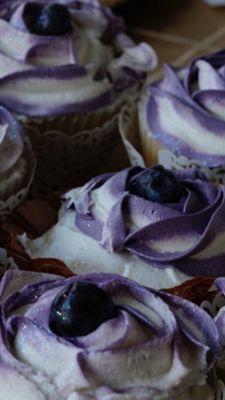 Perfectly Stated Cupcakes™ - Blueberry Bliss