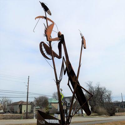 Harmony Afield - main entrance by Bill Secunda 2019 - Mantis with Lightning Bugs