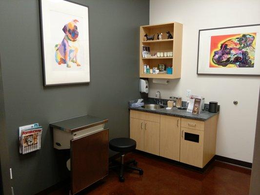 An exam room for dogs