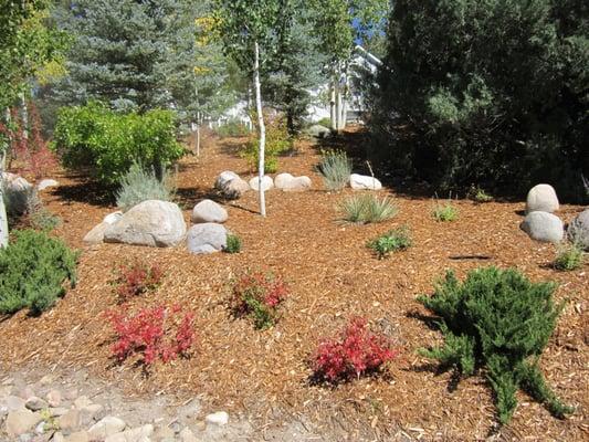 landscape plants design