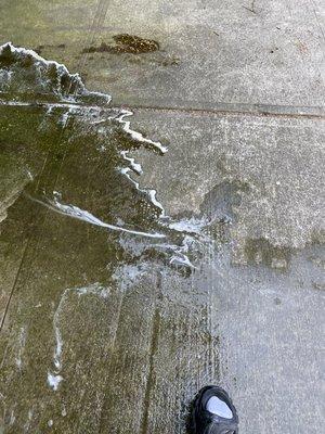 Powerwashing in residential backyard.