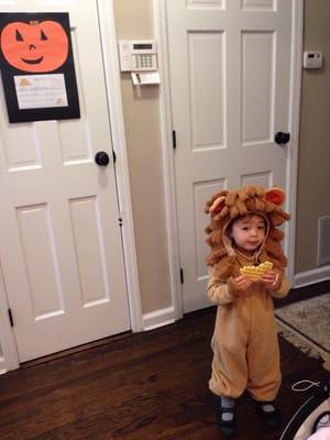 Thanks for lion costume Green Bean!