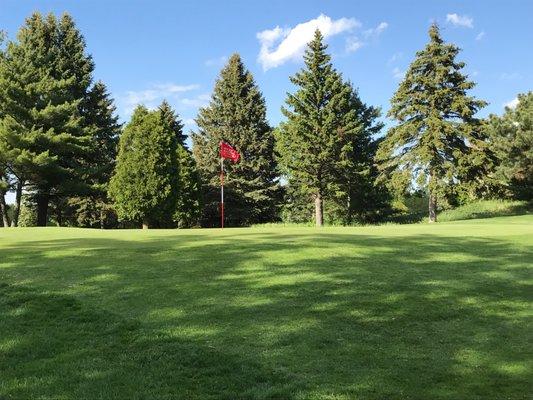 Number 5 Green in late afternoon on a gorgeous summer day!