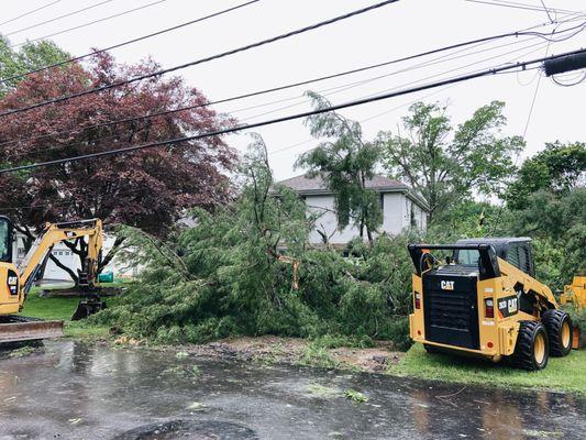 This was the day the tree fell. Crazy how close it was to our house!