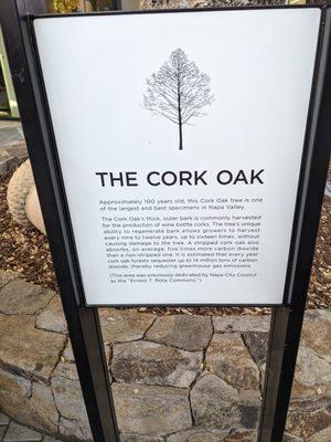 The Cork Oak, First Street Napa