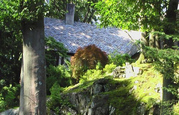 After MVR cleaned the outcrops of leaf debris c.2000, vast carpets of moss have naturally covered near thin soil for impressive displays