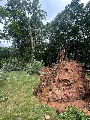 Simsbury storm cleanup job after microburst in August 2024.