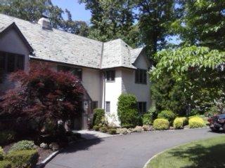 work done by morano painting essex fells nj