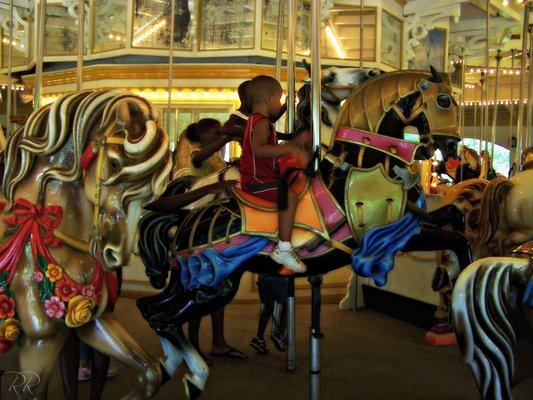 The Riverview Carousel