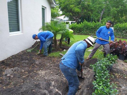 Hard at work...removing old plants and sod