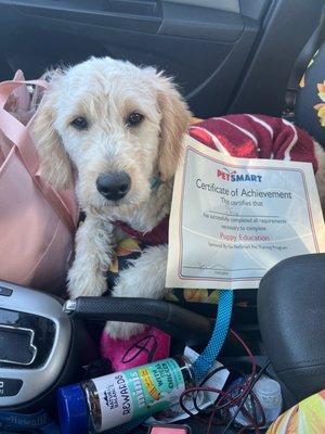 Puppy class certificate