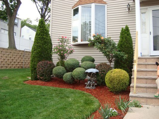 Holly Tree Landscaping