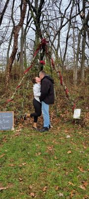 Moose Apple Christmas Tree Farm