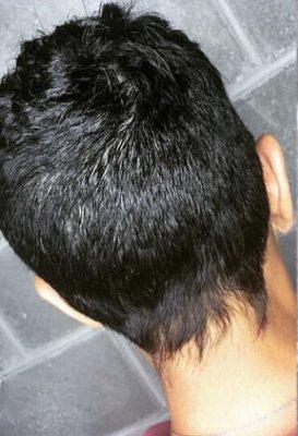 Cut and style