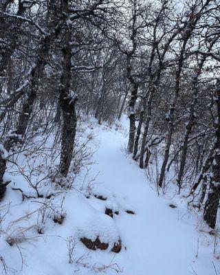 Blodgett Peak