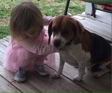 Babies and dogs--our staff loves them all!