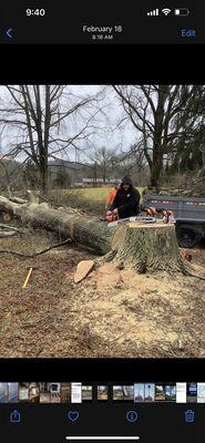 Foothill Tree Experts