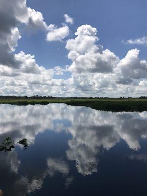 Florida Everglades- stunning