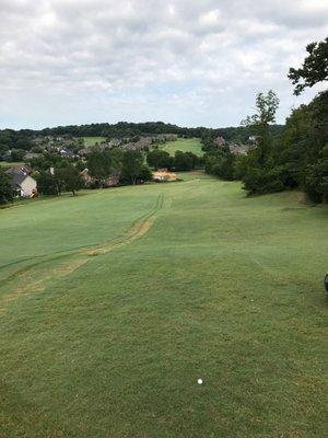 14; looking back toward tee box