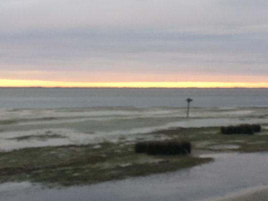 Ospreys nesting on the Sound.