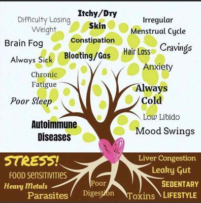 An example of holistic healing. The roots of issues most clients experience must be approached to alleviate symptoms at the cause.